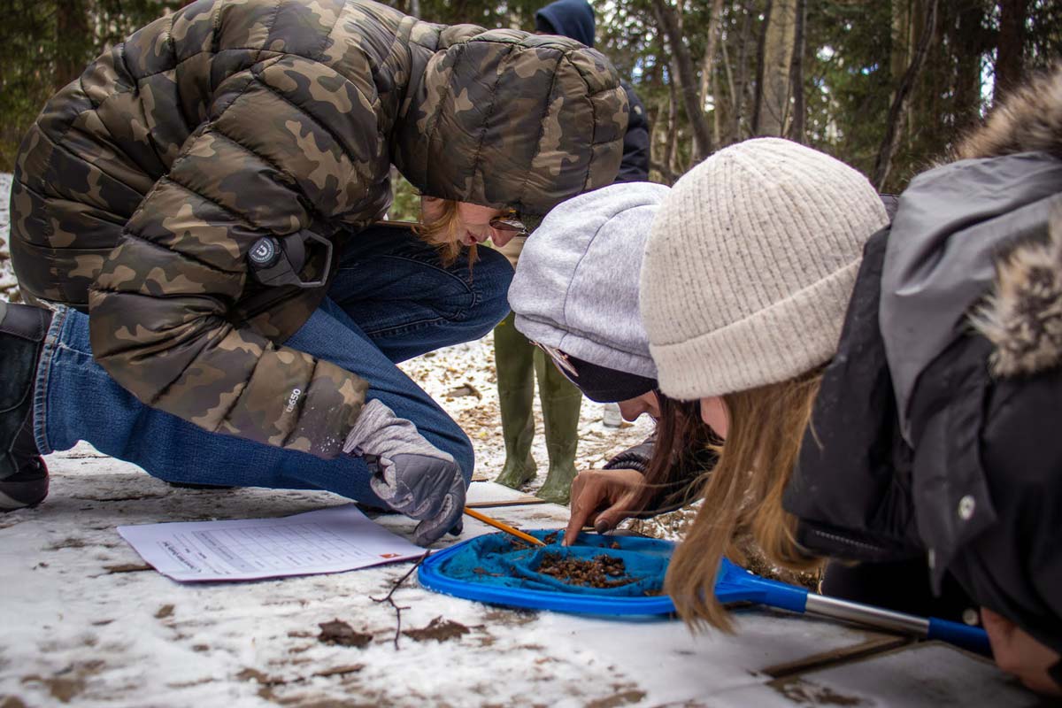 Teachers in Beyond the Classroom inspect the net during a stream survey