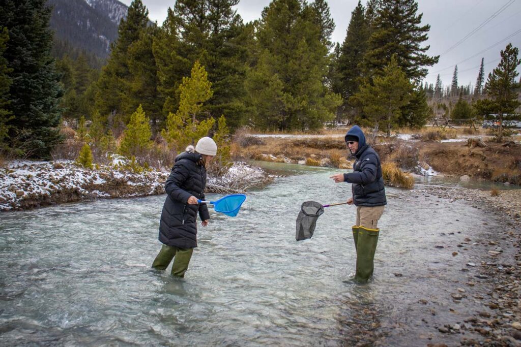 Teachers in Beyond the Classroom wading during the stream survey