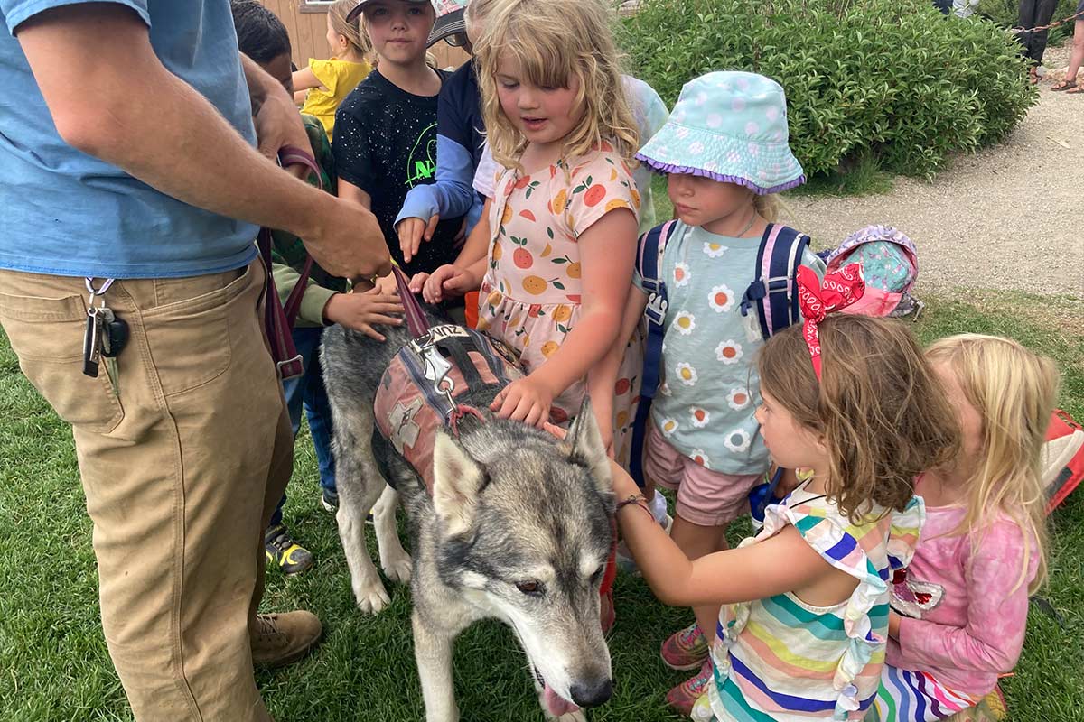 A group of day campers pets a local avalanche patrol dog