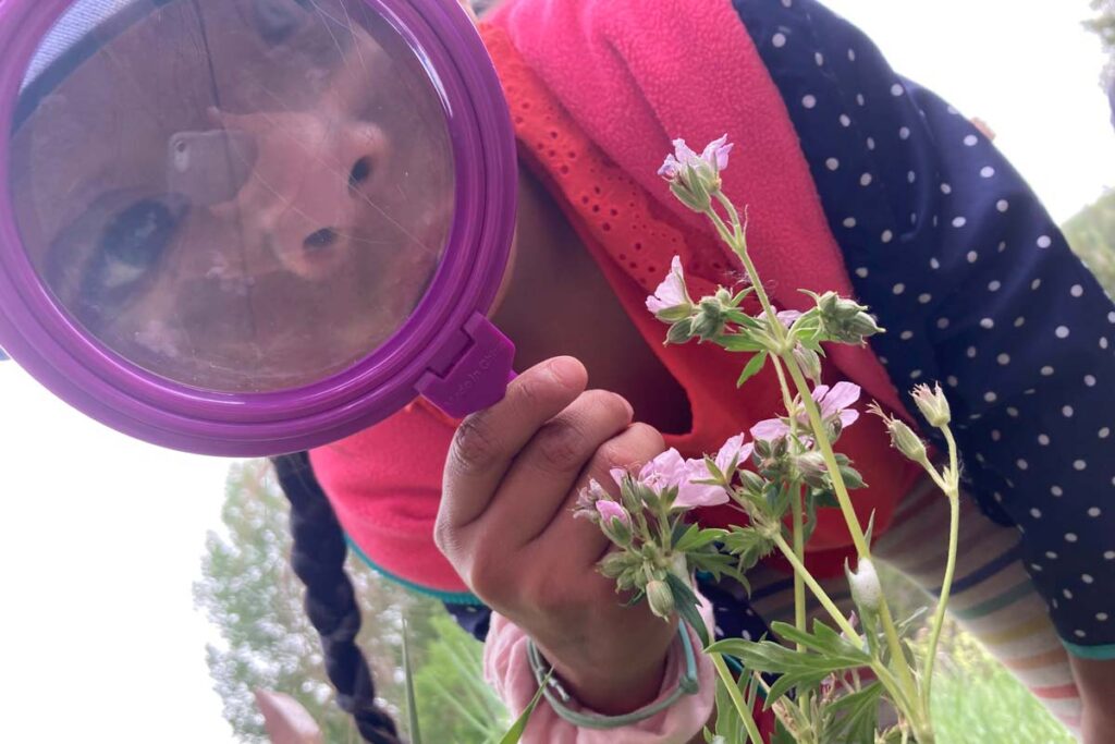 A Day Camp girl looks through a magnifying glass while learning science on the trail