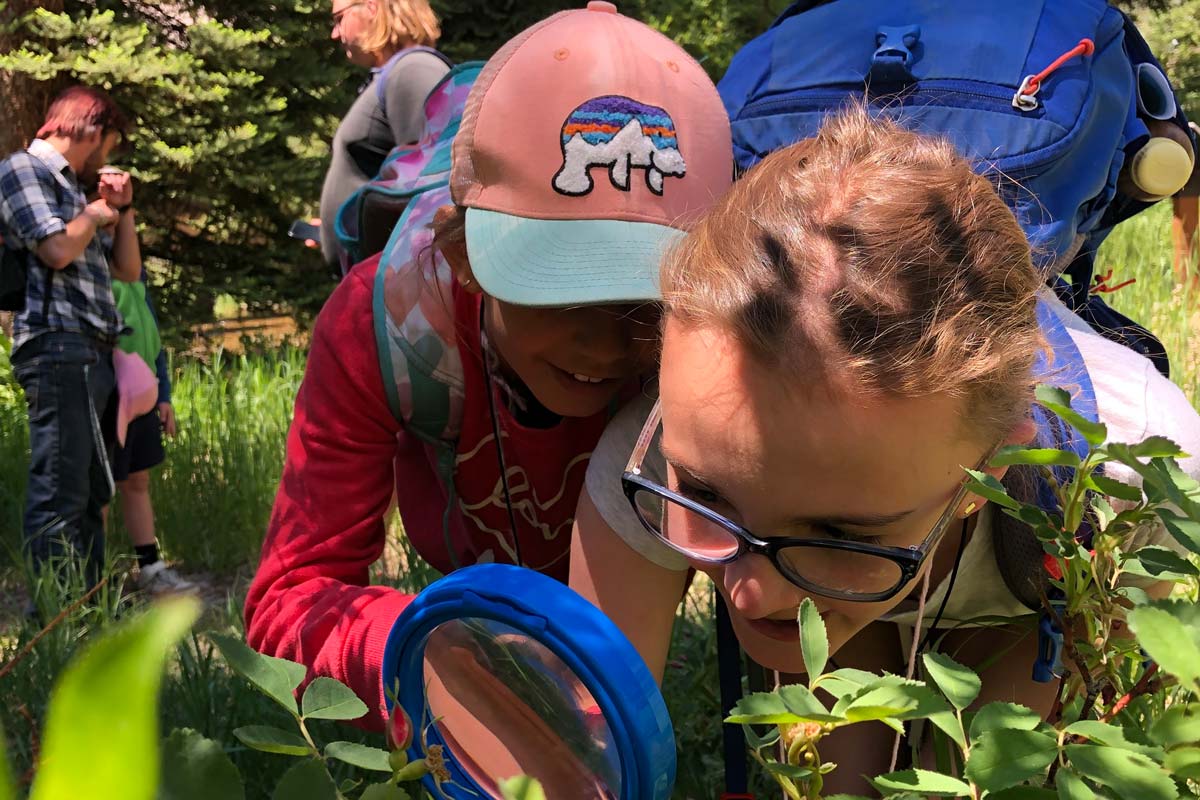 Discovery campers look through a magnifying glass at some plants while out on the trail