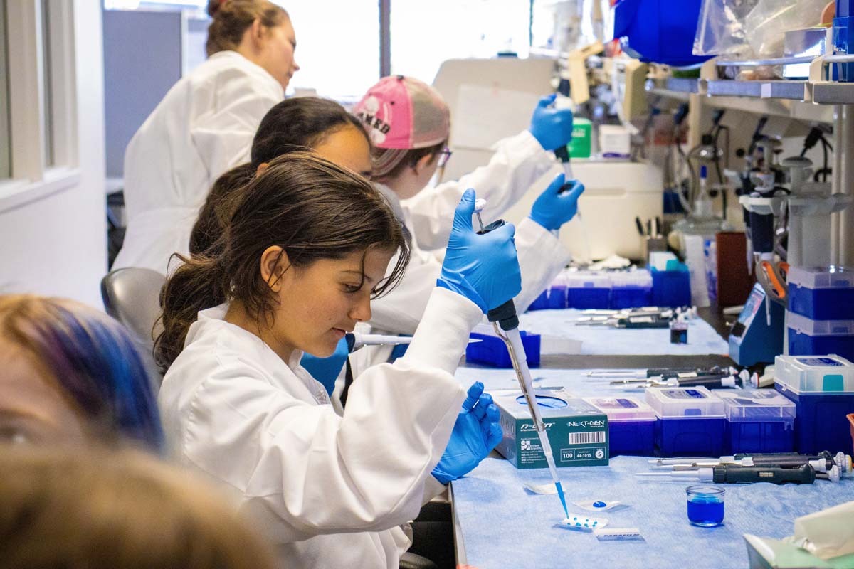 A student uses an eyedropper intstrument in Girls in STEM