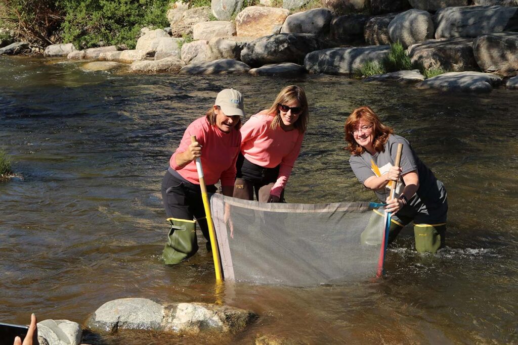 Teachers performing a stream survey in Beyond the Classroom teacher training.
