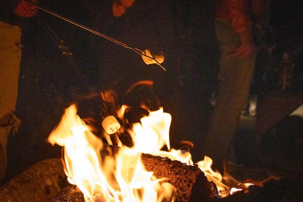 Roasting marshmallows over the campfire