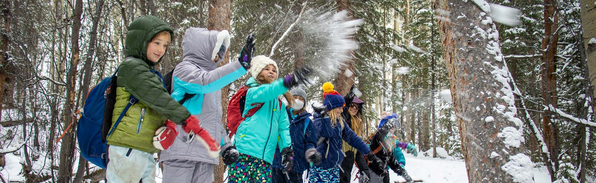 Throwing snowballs from the bridge