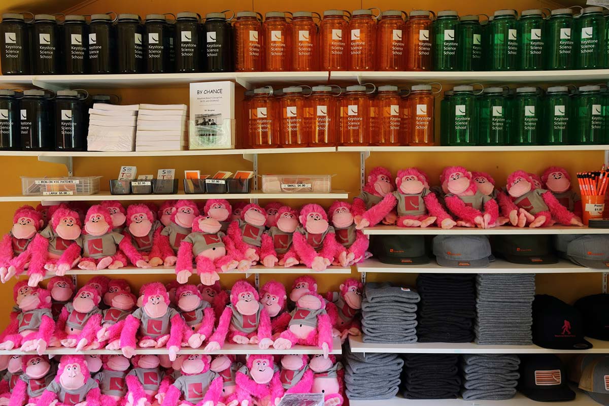 Shelves of swag for sale in the School Store.