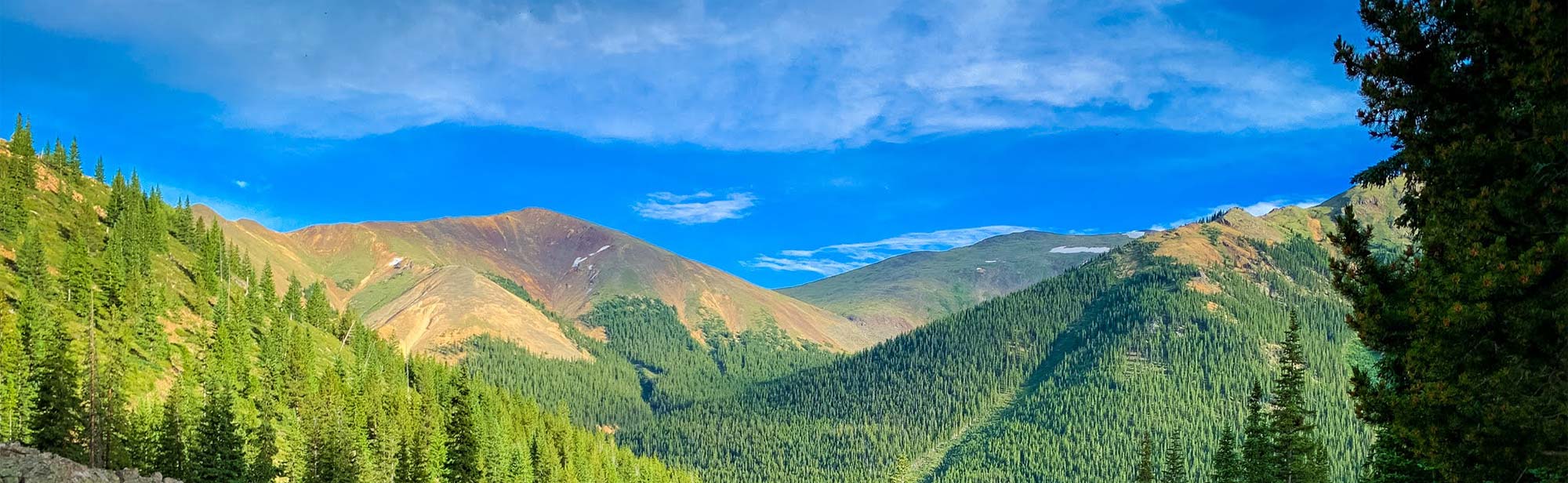 Landscape of the green mountain forest under a vivid blue sky