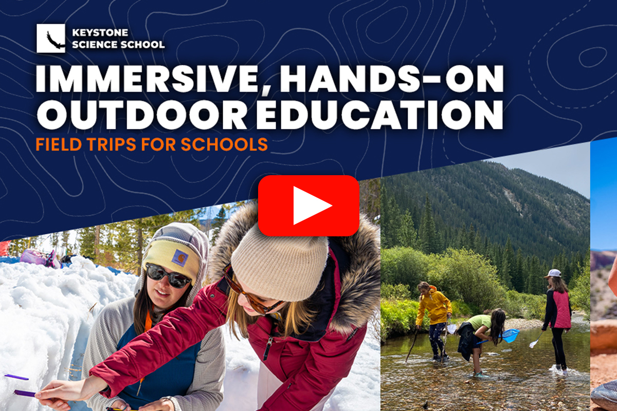 Immersive, Hands-on Outdoor Education Field Trips for Schools